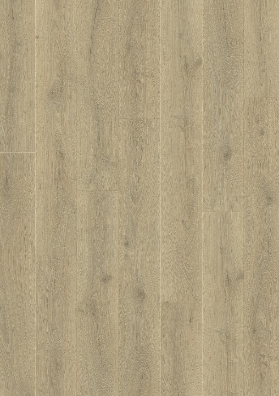 ДУБ CИТИ  L1250-03868