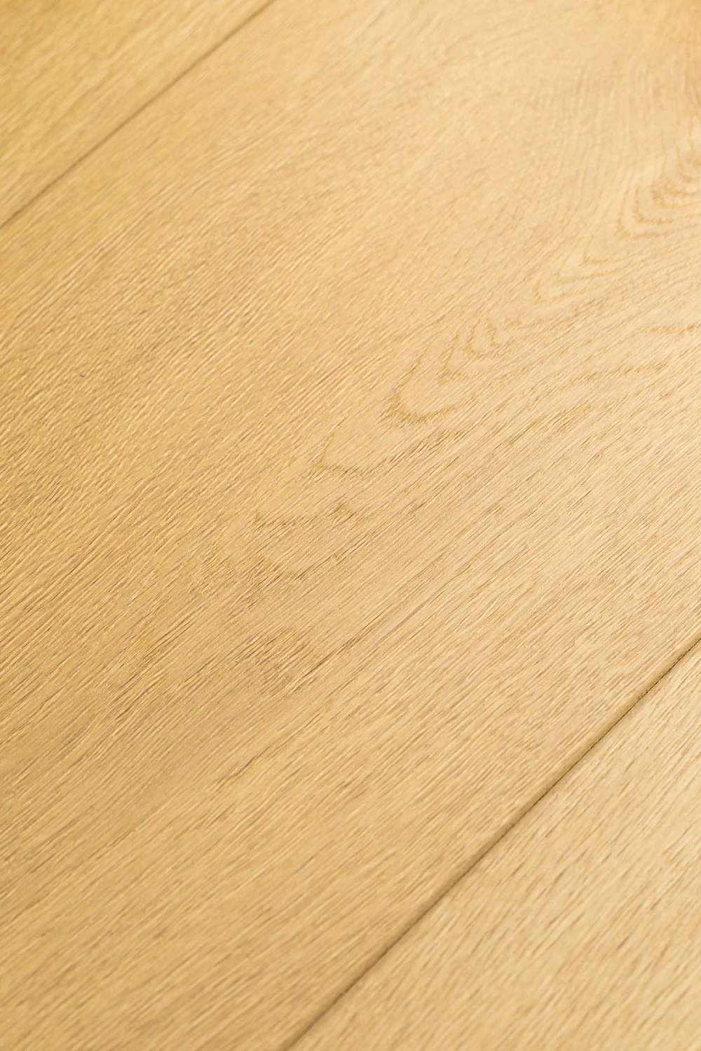 Дуб Ювель | Uvel oak 1F425