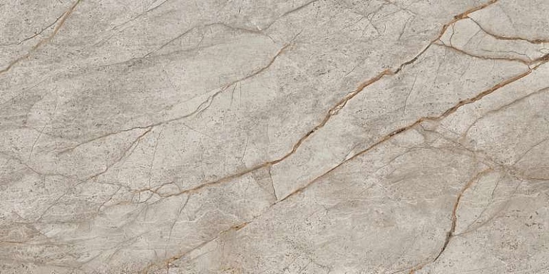 Empire Silver Root Rett 60x120 Lapp