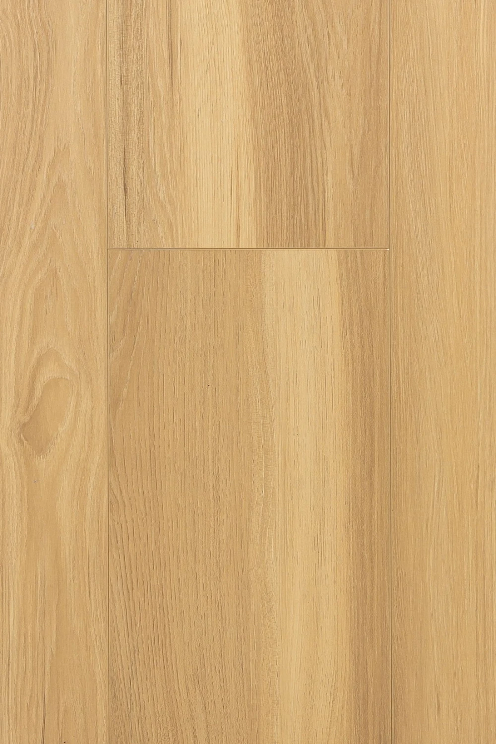 Дуб Кэндор | Candor oak 1F314
