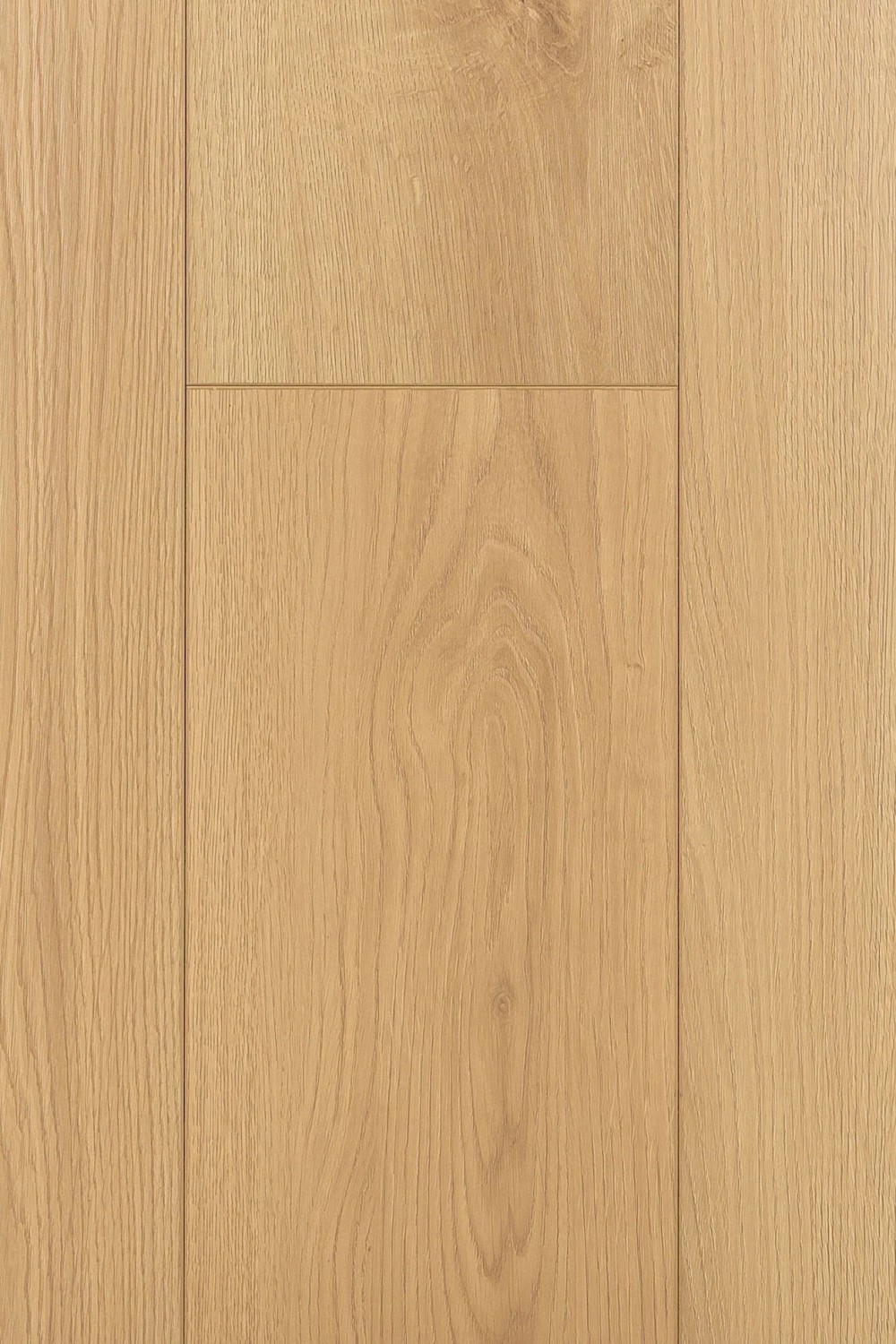 Дуб Атриум | Atrium oak 1F404