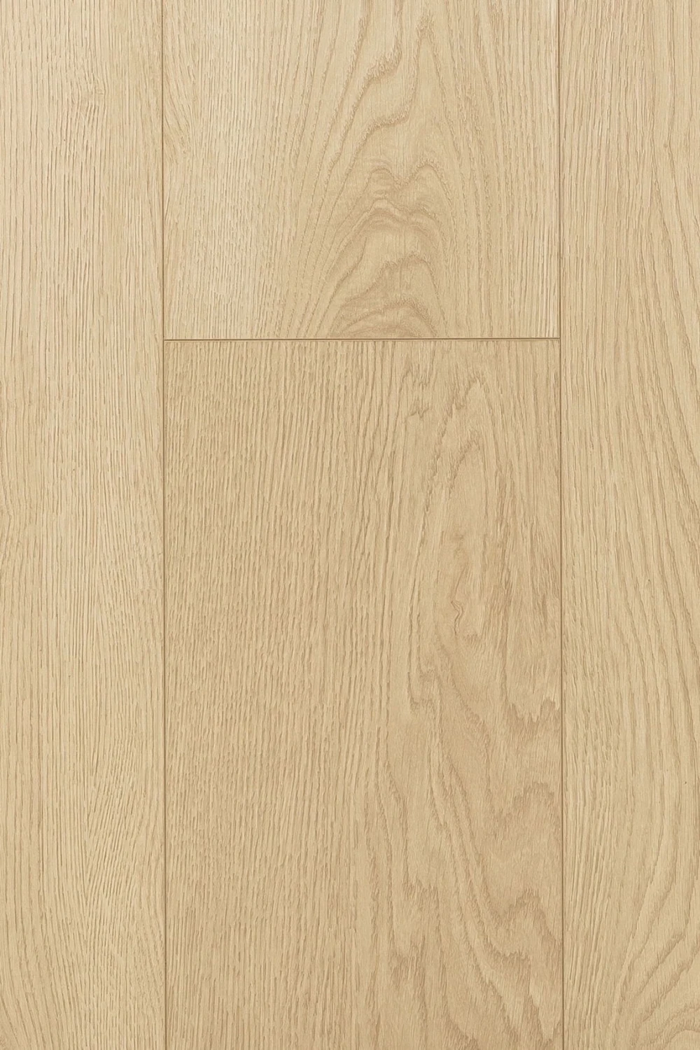 Дуб Софи | Sophis oak 1F303