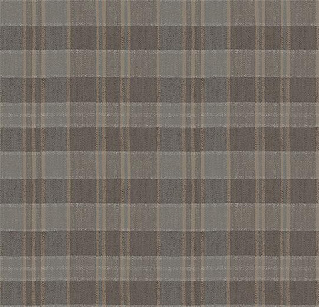590025 Plaid Tweed