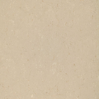 2131-012 light beige